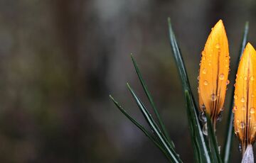 В Україні увірвалося тепло: прогноз погоди на четвер