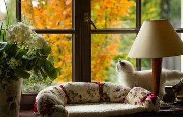 Дощі відступили: якою буде погода в Україні сьогодні