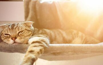 Синоптики попередили про повернення гроз: прогноз погоди в Україні