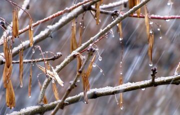 Дощі посилюються: прогноз синоптиків для України