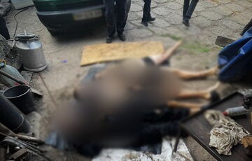 В Черниговской области в канализационной шахте нашли тела трех человек