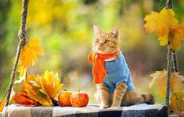 Прогноз погоди: в Україну повертається тепло