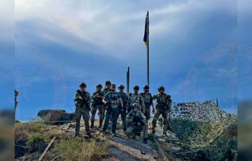 ЗСУ на острові Зміїний врятували кота, який усі ці місяці жив в окупації: відео