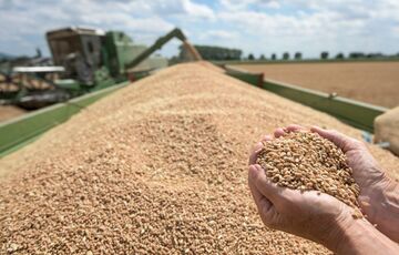 В ООН озвучили сразу несколько проблем альтернативного зернового коридора в Черном море