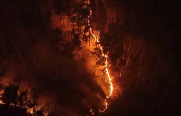 Південну Корею охопили масштабні лісові пожежі Південну Корею охопили масштабні лісові пожежі