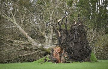 Ураган ”Киаран” приближается к Польше: жителей предупредили о вероятных отключениях света 