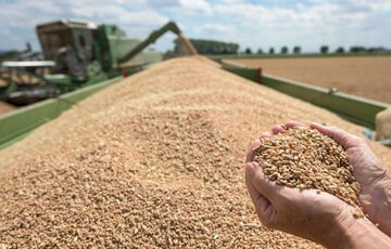 Работа украинского ”зернового коридора” вышла на довоенные мощности