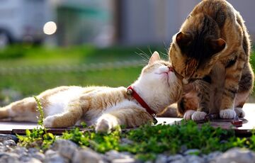 Прогноз на п'ятницю: де трохи ослабне спека