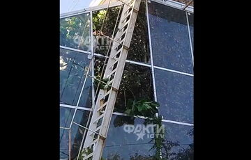 Россияне сбросили авиабомбу на детский ботанический сад в Запорожье Россияне сбросили авиабомбу на детский ботанический сад в Запорожье