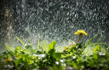 Прогноз погоди: стане тепліше, але підуть дощі