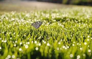 Прогноз погоди: замість злив в Україну повернуться грози