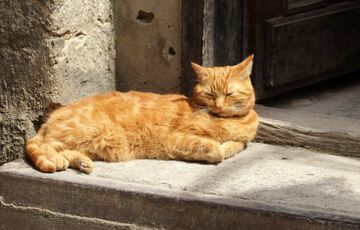 Прогноз погоди: яким буде останній день липня
