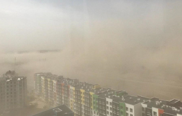 Синоптик предупредила об опасности суховеев в Украине