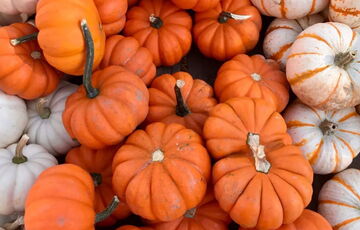 Готовим три вкуснейших десерта с тыквой