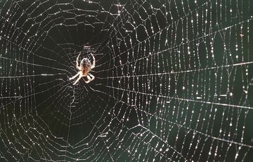 Екватор вересня прийшов до України з похолоданням