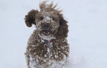 Прогноз погоди в Україні: синоптики обіцяють снігопади