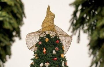 ФОТОФАКТ: с главной елки Украины сняли скандальную шляпу  ФОТОФАКТ: с главной елки Украины сняли скандальную шляпу