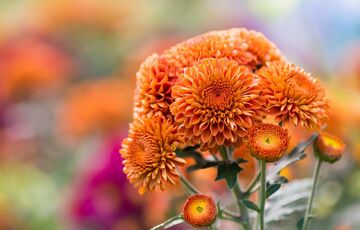 Погода в Україні зіпсується: завтра прийдуть похолодання та дощі