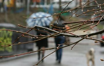 Прогноз погоди: дощі в Україні посилюються