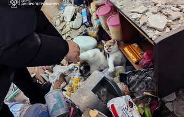 Обстрел Кривого Рога: пострадали пять человек, среди них маленьких ребенок (фото)