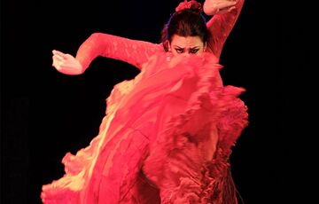 Фламенко — історія і характеристика танцю фламенко
