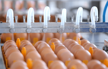 На изготовление вакцины против гриппа уходит 500 млн куриных яиц, - эксперт