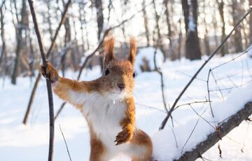 Погода в Україні: чи варто чекати потепління