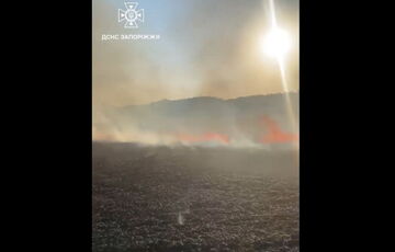 В Запорожской области из-за российского обстрела сгорело почти 4 га хлеба: видео