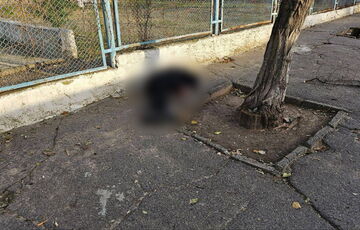 Во время утренних обстрелов россияне убили двух человек и попали в медучреждение Херсона Во время утренних обстрелов россияне убили двух человек и попали в медучреждение Херсона