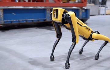 Легендарный робот Boston Dynamics разминирует территорию под Киевом Легендарный робот Boston Dynamics разминирует территорию под Киевом