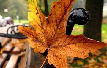 В Украину возвращается летняя погода: где ждать жары