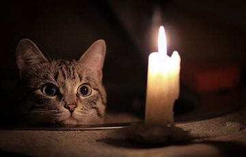 Українців очікують на нові аварійні відключення електроенергії - ДТЕК