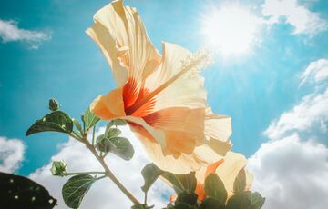 Прогноз погоди: в Україні стане тепліше