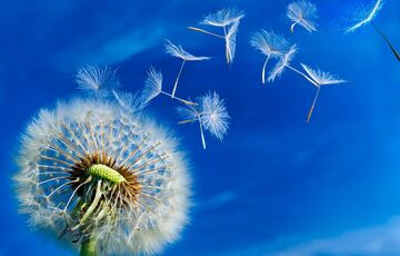 Прогноз для України: якими будуть перші вихідні літа