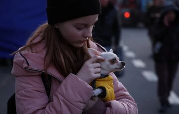 В Нідерландах пропонують повертати українських біженців у ”безпечні регіони” на Заході 