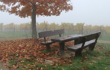 Прогноз погоди: на Україну насуваються дощі