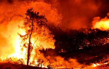 Влада Туреччини заявили про локалізацію майже всіх вогнищ лісових пожеж Влада Туреччини заявили про локалізацію майже всіх вогнищ лісових пожеж