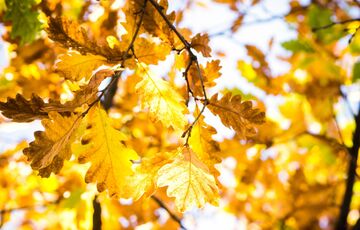 Синоптик сообщил, когда в Украину придет потепление