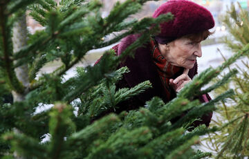 Свято наближається: стало відомо, коли в Києві відкриються ялинкові базари