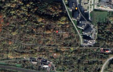 Вбивство Фаріон: у лісі знайдено будинок, яким міг користуватися підозрюваний