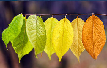 Теплий прогноз: синоптики обіцяють сонце і +25