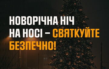 Спасатели напомнили, как безопасно встретить Новый год Спасатели напомнили, как безопасно встретить Новый год