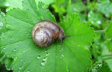 Прогноз погоди: літо в Україні почнеться з похолодання