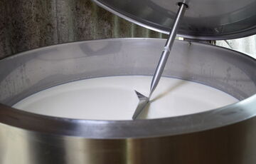 Молочні продукти в Україні стрімко дорожчатимуть: у чому причина