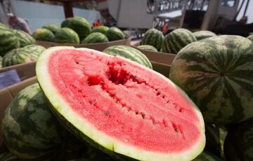 Украина надолго останется без херсонских арбузов и помидоров: эксперт озвучил страшный прогноз