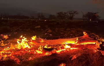 Лісові пожежі на Гаваях: кількість загиблих перевалила за сотню