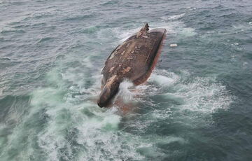 У побережья Сахалина перевернулось грузовое судно, есть погибшие
