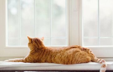 Прогноз погоди в Україні: коли повернеться тепло