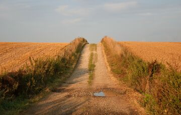 Грози і спека: прогноз погоди в Україні