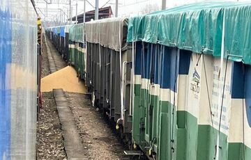 Поляки знову пошкодили українські вантажні вагони, висипавши на землю бобові
